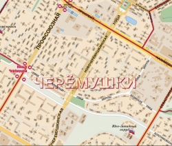 настенная карта Юго-Западный административный округ Москвы с каждым домом