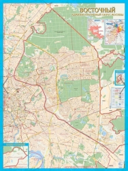 Восточный административный округ Москвы с каждым домом. Ламинированная карта