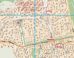 настенная карта Москвы с каждым домом (04)